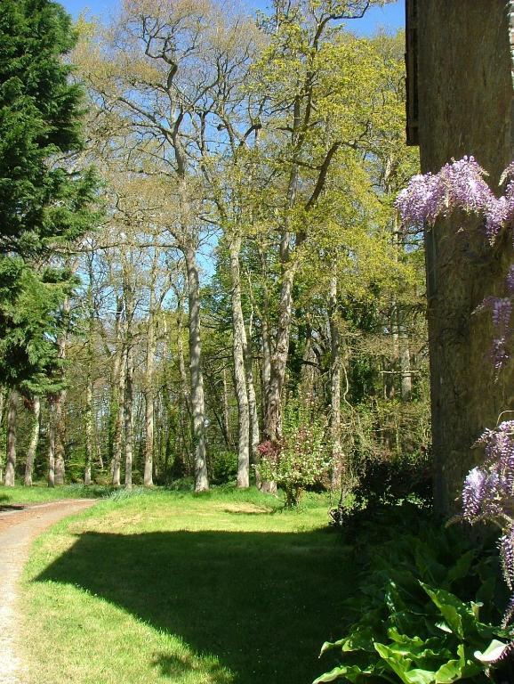 Gîtes de Launay Guibert Miniac-Morvan Extérieur photo