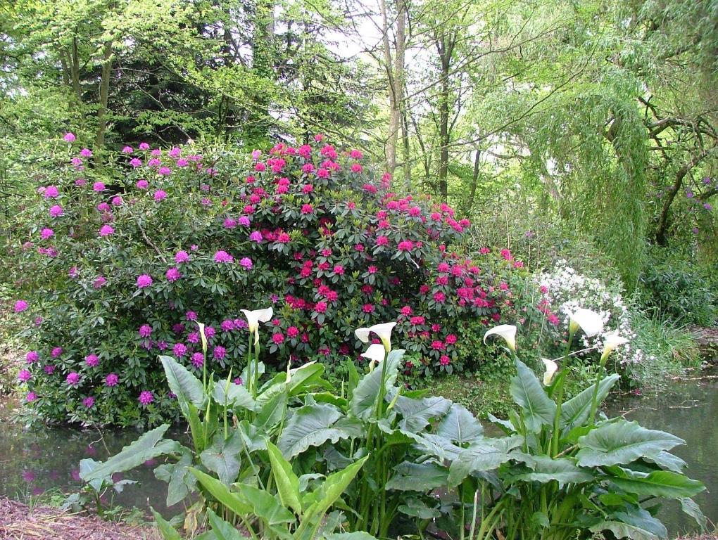 Gîtes de Launay Guibert Miniac-Morvan Extérieur photo